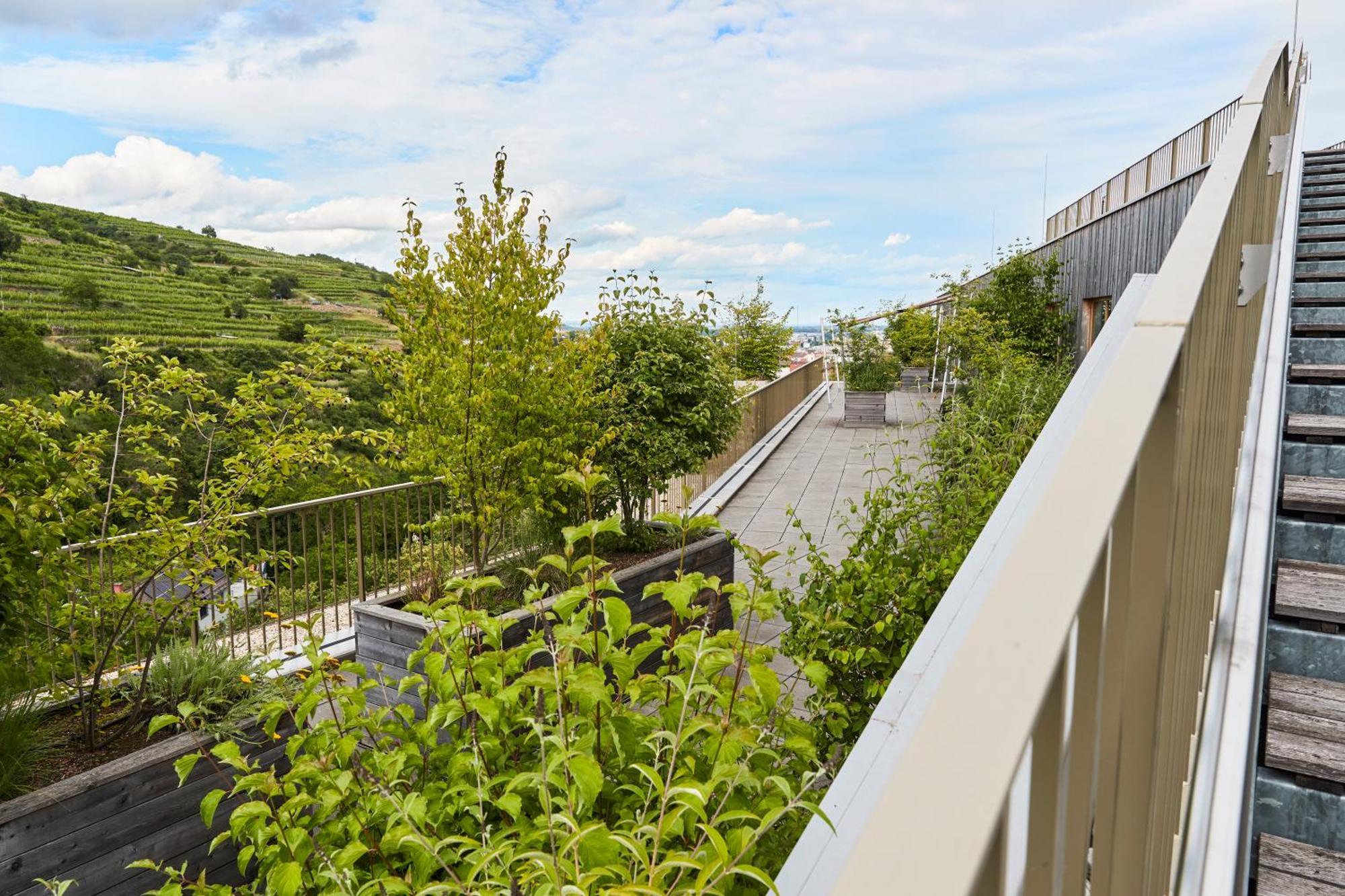 Steigenberger Hotel & Spa Krems Exteriör bild